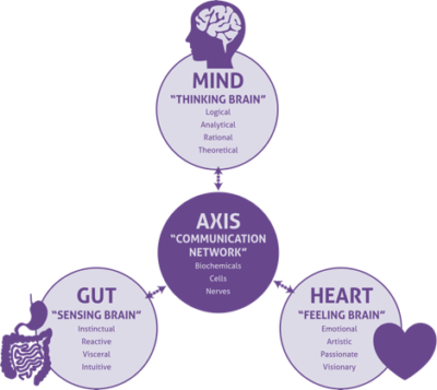 Amare Three Brains Graphic (image)